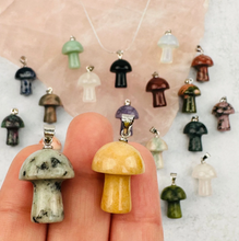 Load image into Gallery viewer, Mystic Mushroom
