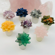 Load image into Gallery viewer, Succulent Crystal
