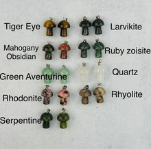 Load image into Gallery viewer, Mystic Mushroom
